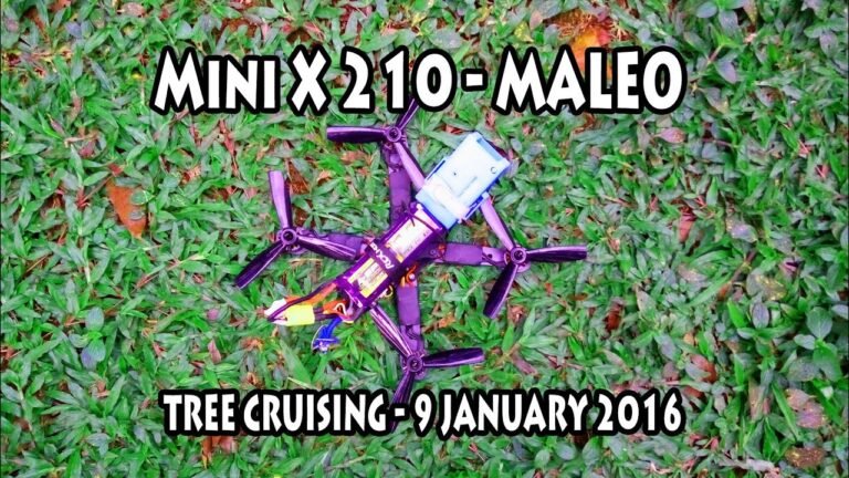 Mini X210 (Maleo) – TREE CRUISING